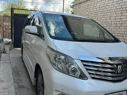 Toyota Alphard 2011 годаүшін13 500 000 тг. в Шымкент – фото 12