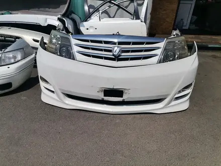 Морда Toyota alphardүшін350 000 тг. в Шымкент