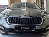 Skoda Octavia Ambition 2.0 2024 года за 15 390 000 тг. в Астана – фото 2