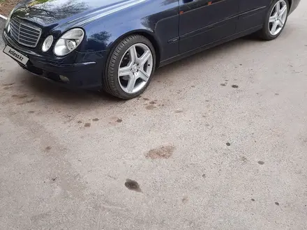 Mercedes-Benz E 240 2003 года за 5 200 000 тг. в Павлодар