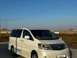 Toyota Alphard 2006 года за 6 800 000 тг. в Шымкент