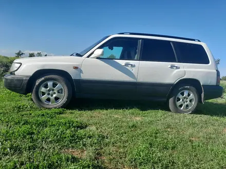 Subaru Forester 1998 года за 2 800 000 тг. в Тайынша – фото 9