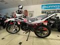 Racer  Panther RC250GY-C2 2023 года за 750 000 тг. в Караганда – фото 4