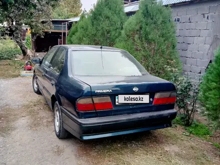 Nissan Primera 1997 года за 800 000 тг. в Шымкент – фото 4