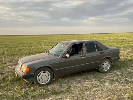 Mercedes-Benz 190 1989 года за 600 000 тг. в Тараз