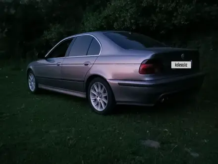 BMW 528 1996 года за 3 500 000 тг. в Алматы – фото 11