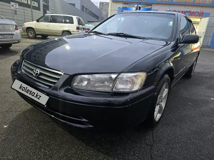 Toyota Camry 2000 года за 3 500 000 тг. в Алматы