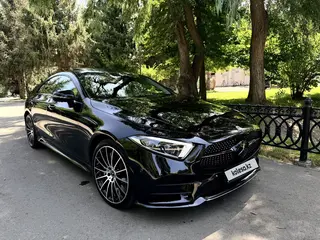 Mercedes-Benz CLS 53 AMG