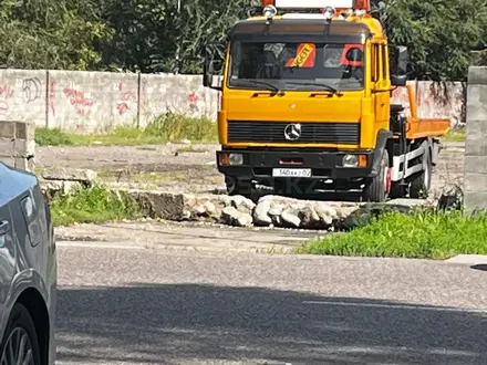 Mercedes-Benz  1317L 1991 года за 17 500 000 тг. в Алматы – фото 6