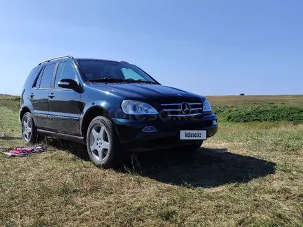 Mercedes-Benz ML 270 2002 года за 3 500 000 тг. в Костанай – фото 5