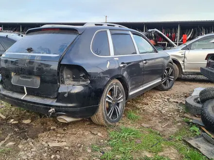 Porsche Cayenne 2006 года за 44 444 тг. в Алтай – фото 7