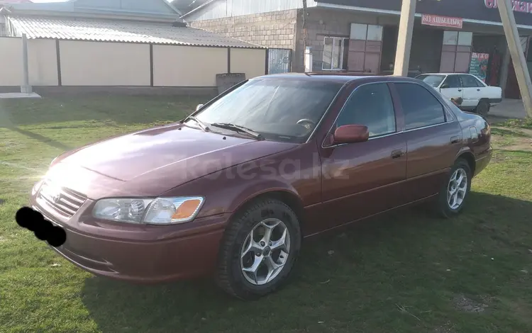 Toyota Camry 2001 года за 3 700 000 тг. в Мерке