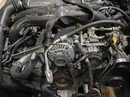 Двигатель Субару Subaru EJ253 2.5 EJ255 турбо за 202 020 тг. в Алматы – фото 15