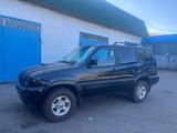 Nissan Terrano 1999 года за 2 550 000 тг. в Кокшетау – фото 3