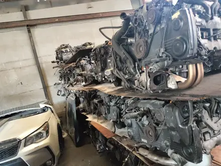 Двигатель на subaru. Субару 18L 20L 25L за 288 888 тг. в Алматы