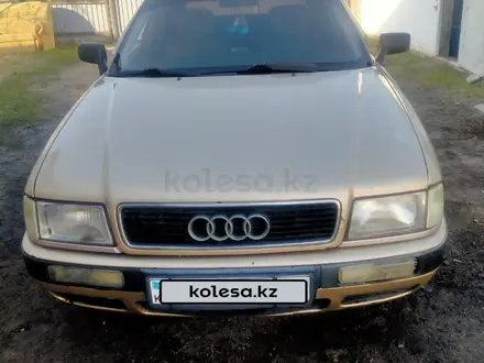 Audi 80 1992 года за 1 800 000 тг. в Павлодар