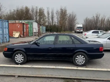 Audi 100 1994 года за 2 600 000 тг. в Шымкент