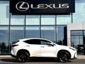 Lexus NX 250 2022 годаfor24 500 000 тг. в Шымкент – фото 17