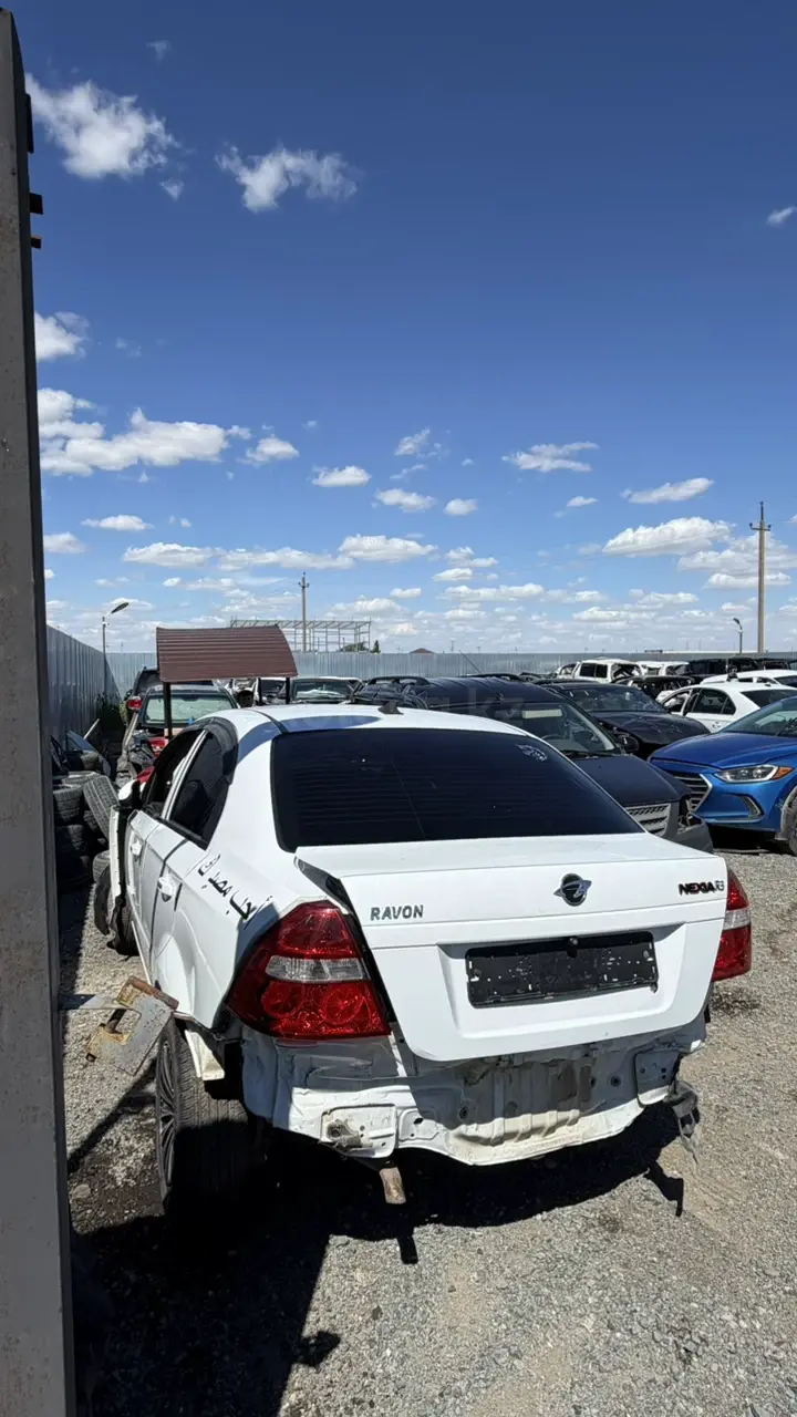 Ravon Nexia R3, 2019