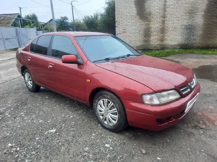 Nissan Primera 1999 года за 1 299 000 тг. в Кокшетау – фото 8