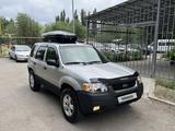 Ford Escape 2004 годаүшін3 900 000 тг. в Талдыкорган