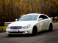 Mercedes-Benz CLS 500 2004 годаүшін7 500 000 тг. в Алматы – фото 2