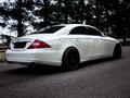 Mercedes-Benz CLS 500 2004 годаүшін7 500 000 тг. в Алматы – фото 9