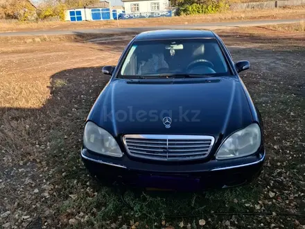 Mercedes-Benz S 500 2003 года за 5 500 000 тг. в Семей – фото 2