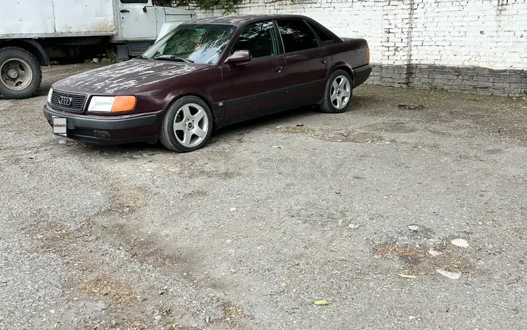 Audi 100 1992 года за 2 150 000 тг. в Сарканд
