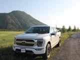 Ford F-Series 2021 года за 37 000 000 тг. в Усть-Каменогорск