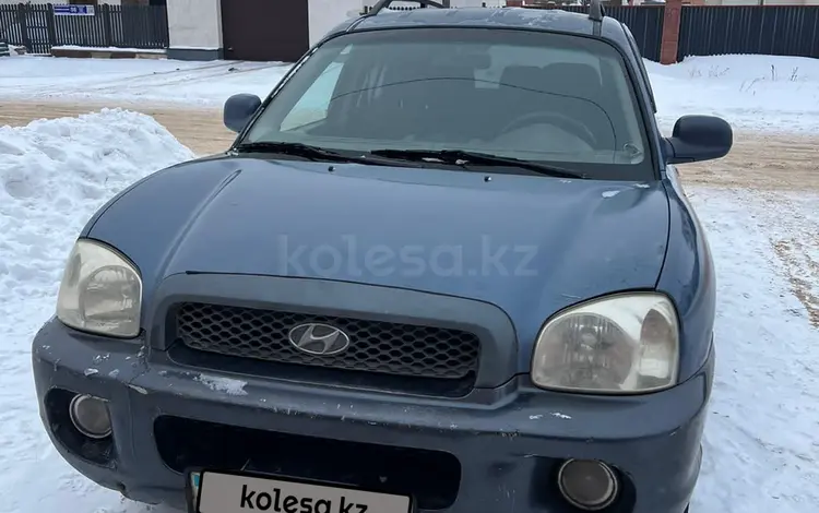 Hyundai Santa Fe 2002 годаүшін3 000 000 тг. в Астана