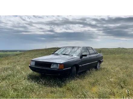 Audi 100 1991 года за 1 000 000 тг. в Шымкент