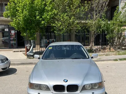 BMW 325 2002 года за 5 000 000 тг. в Шымкент