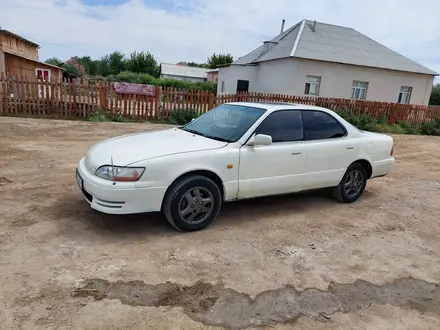 Toyota Windom 1994 года за 2 300 000 тг. в Кызылорда – фото 7