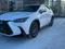 Lexus NX 250 Executive 2023 года за 29 370 000 тг. в Астана