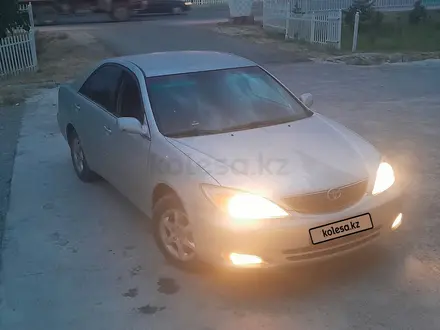 Toyota Camry 2004 года за 5 200 000 тг. в Туркестан – фото 9