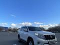 Toyota Land Cruiser Prado 2013 годаүшін17 000 000 тг. в Павлодар – фото 5