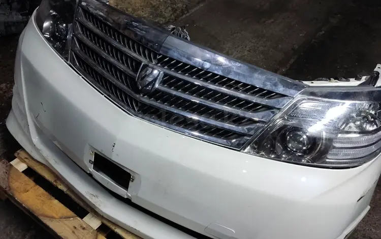 МОРДА НОУСКАТ БАМПЕР ФАРЫ В СБОРЕ TOYOTA ALPHARD H10 2.4 за 250 000 тг. в Кызылорда