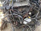 Двигатель на Фольксваген т4 2.5 за 550 000 тг. в Шымкент – фото 2