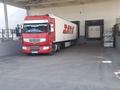 Renault  Premium 2005 годаүшін23 000 000 тг. в Шымкент – фото 8