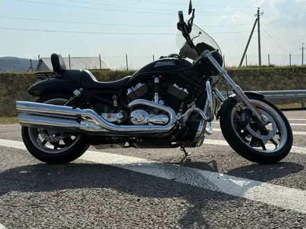 Harley-Davidson  V-Rod 2006 года за 4 900 000 тг. в Алматы – фото 2