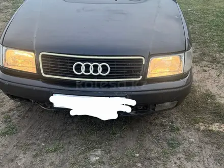 Audi 100 1993 года за 1 300 000 тг. в Павлодар