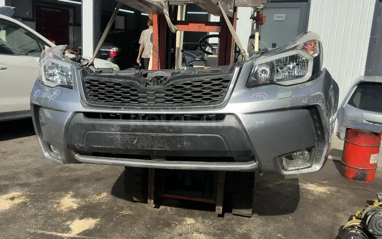 Ноускат за 1 000 тг. в Шымкент