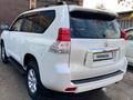 Toyota Land Cruiser Prado 2013 годаfor14 450 000 тг. в Алматы – фото 2