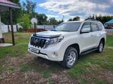 Toyota Land Cruiser Prado 2014 годаүшін18 500 000 тг. в Семей