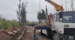 Dongfeng 2012 года за 11 500 000 тг. в Астана – фото 5