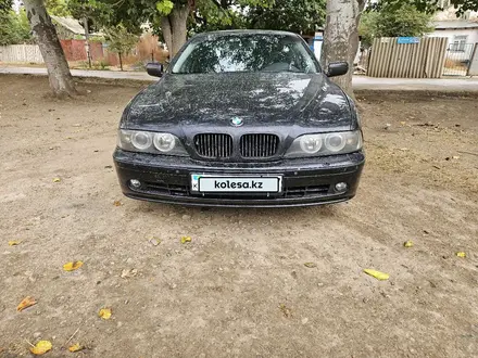 BMW 525 2001 года за 3 300 000 тг. в Шымкент – фото 4