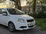 Chevrolet Aveo 2012 года за 2 500 000 тг. в Алматы