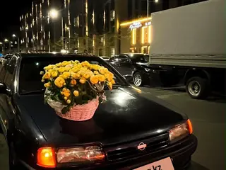 Nissan Primera
