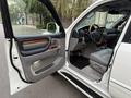 Lexus LX 470 2006 года за 15 500 000 тг. в Алматы – фото 22